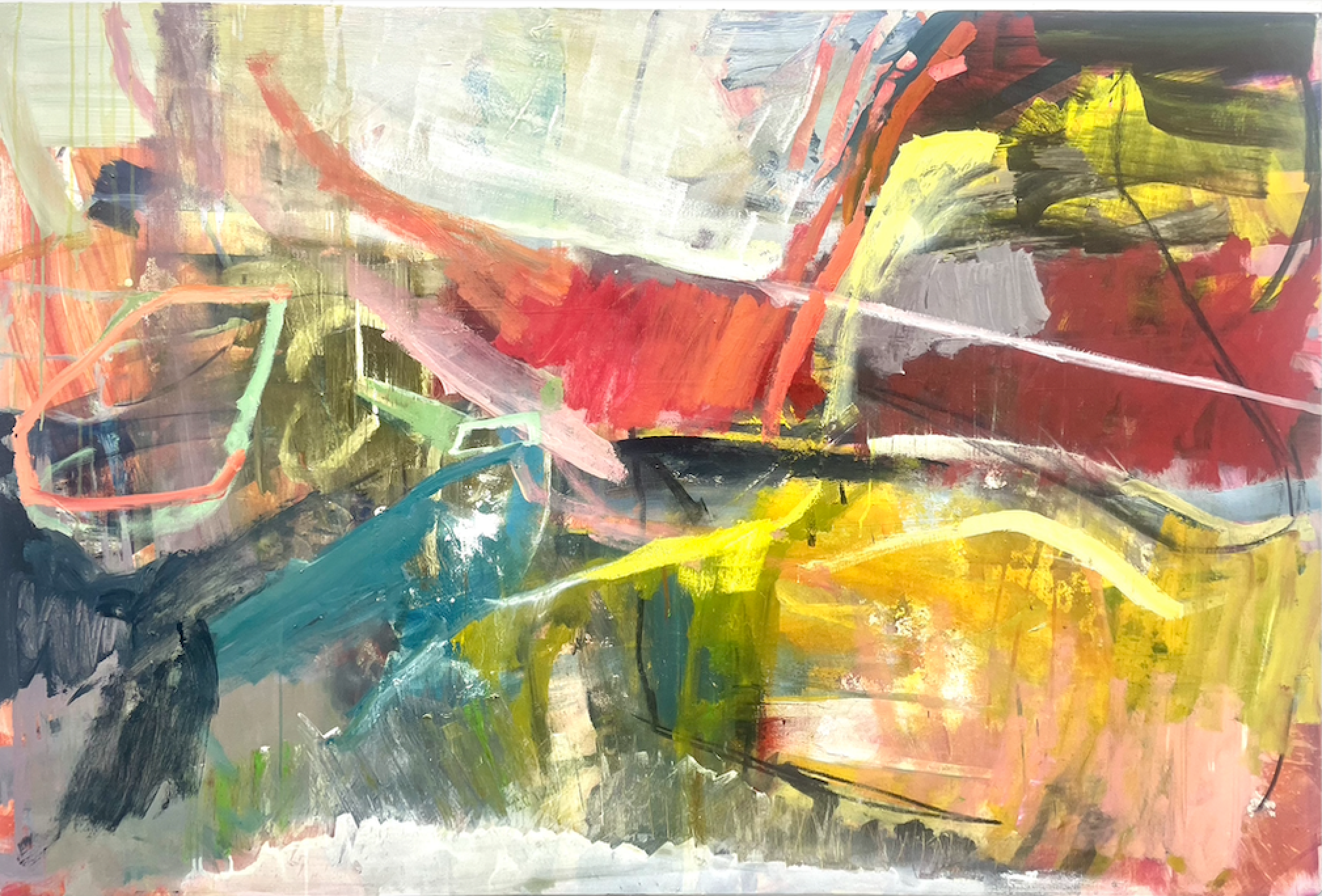 New Creations by Peter Holden